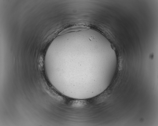 X0000115530077200911271356