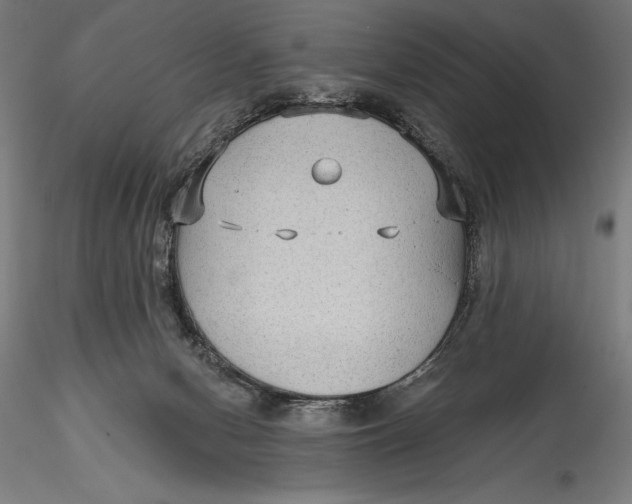 X0000115530078200911271356