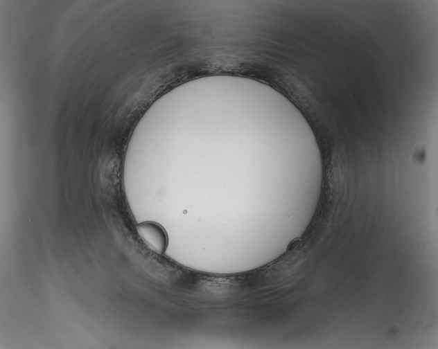 X0000115530079200911271356