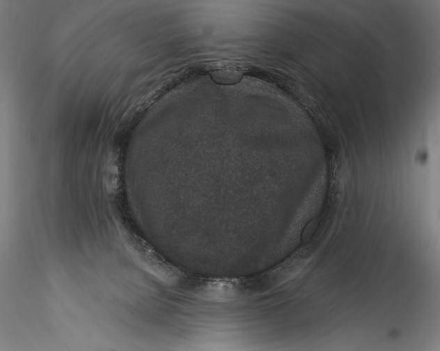 X0000115530080200911271356