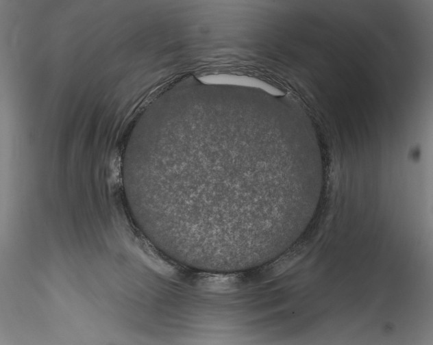 X0000115530081200911271356