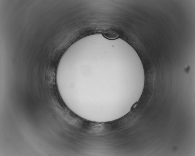 X0000115530083200911271356