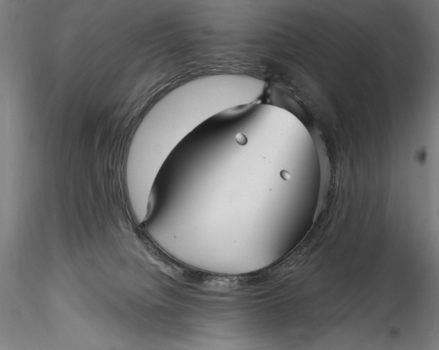 X0000115530084200911271356