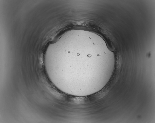 X0000115530085200911271356