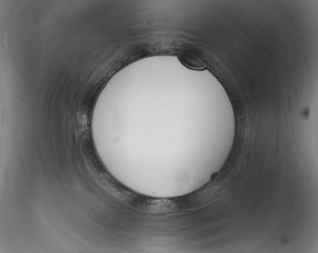 X0000115530087200911271356