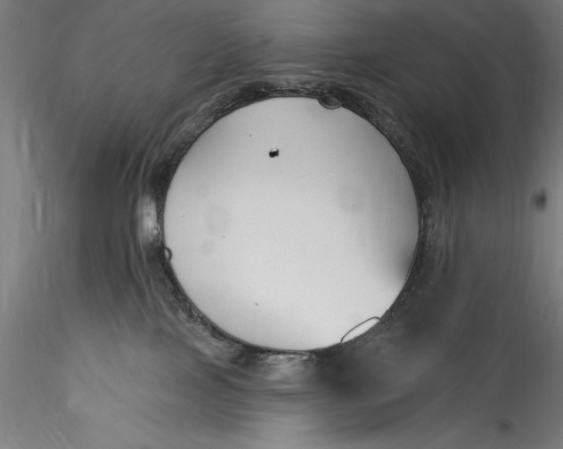 X0000115530089200911271356