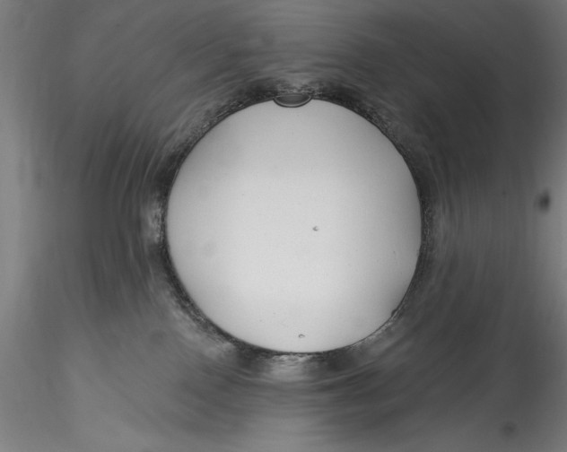 X0000115530090200911271357