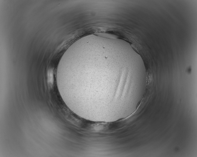 X0000115530094200911271357