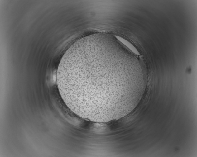 X0000115530095200911271357