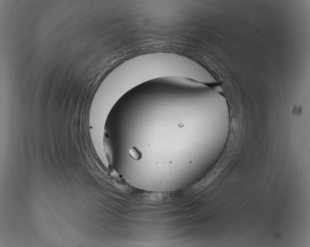 X0000115530096200911271357