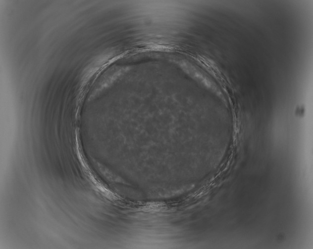 X0000115530097200911271356