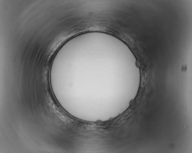 X0000115530098200911271356