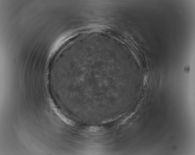 X0000115530101200911271356