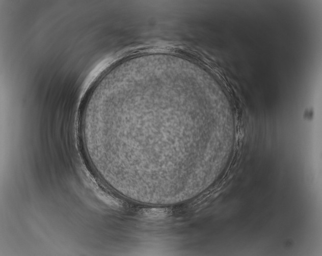 X0000115530102200911271356