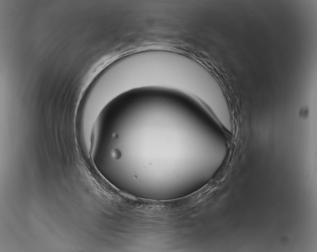 X0000115530104200911271355