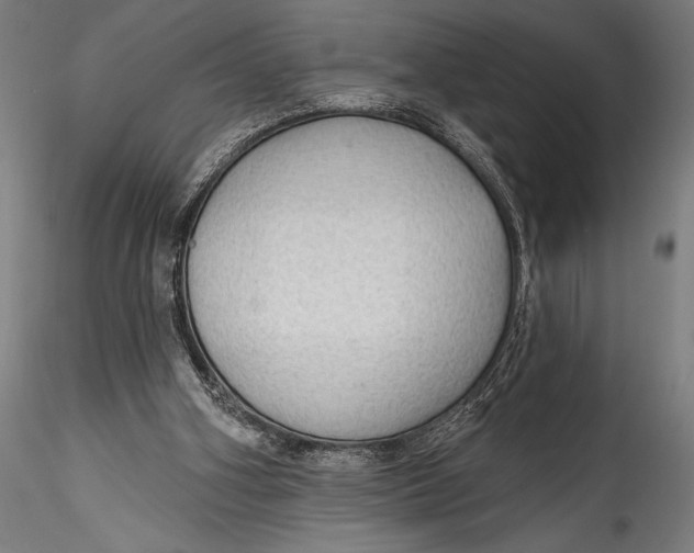 X0000115530106200911271355