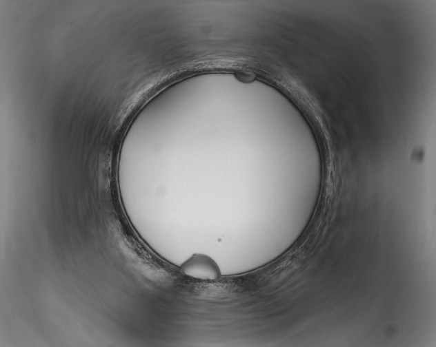 X0000115530107200911271355