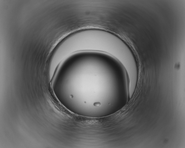 X0000115530108200911271355