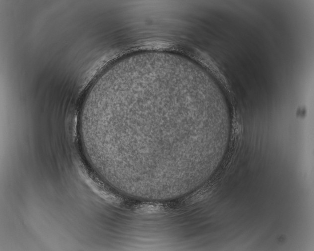 X0000115530110200911271355