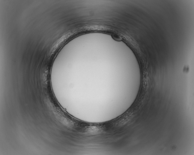 X0000115530111200911271355