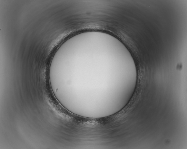 X0000115530112200911271355