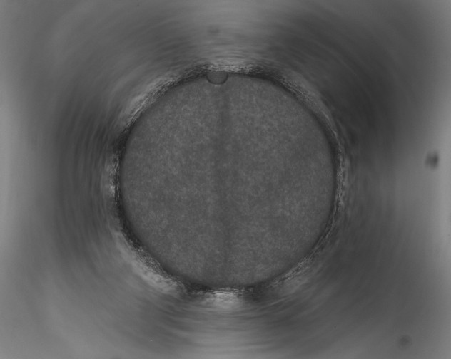 X0000115530114200911271355