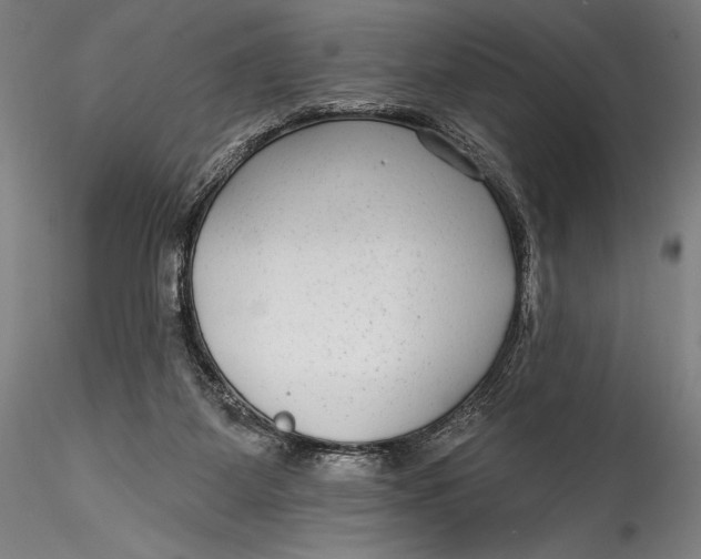 X0000115530115200911271355