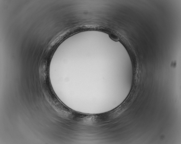 X0000115530116200911271355