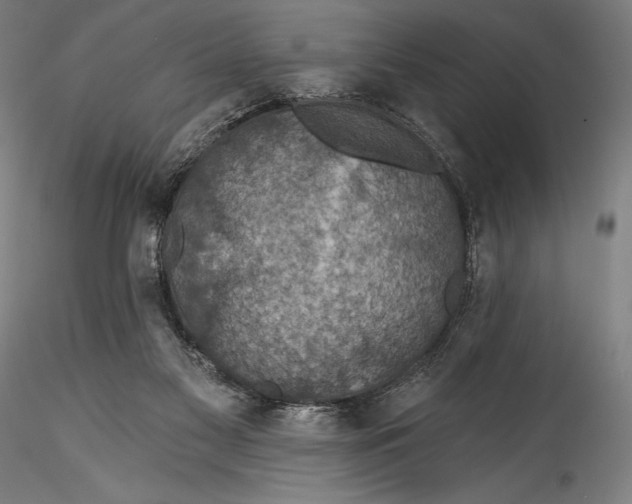 X0000115530117200911271355