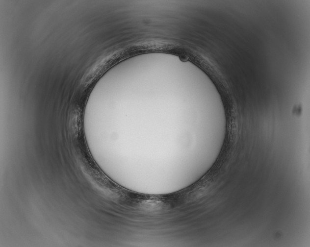 X0000115530119200911271355