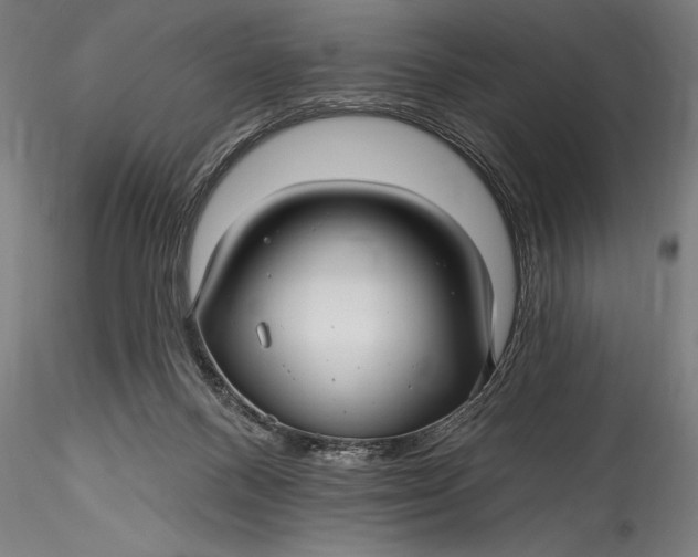 X0000115530120200911271355