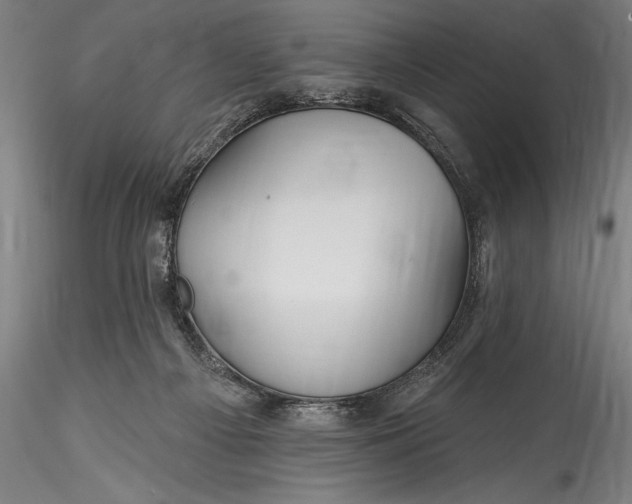 X0000115530121200911271355