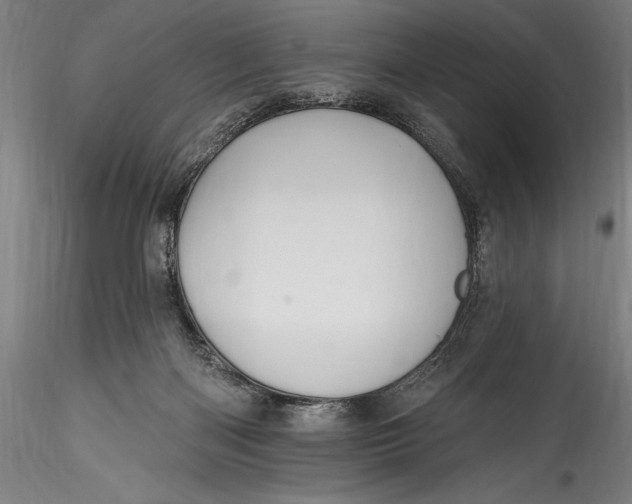 X0000115530122200911271355