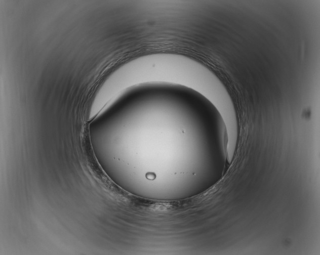 X0000115530124200911271355