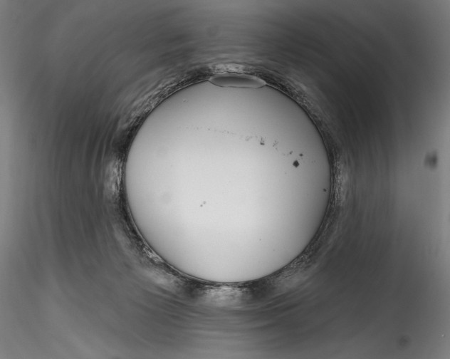 X0000115530125200911271355