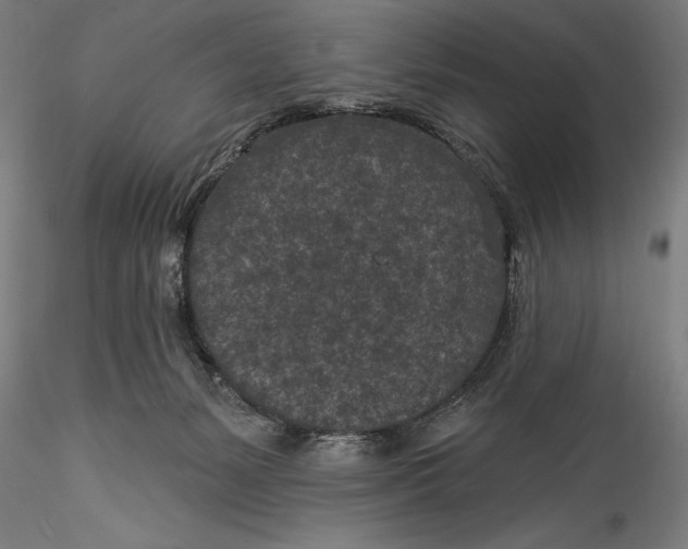 X0000115530127200911271355