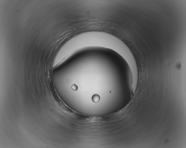 X0000115530128200911271355