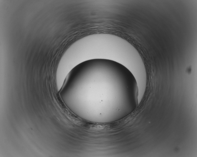 X0000115530129200911271355