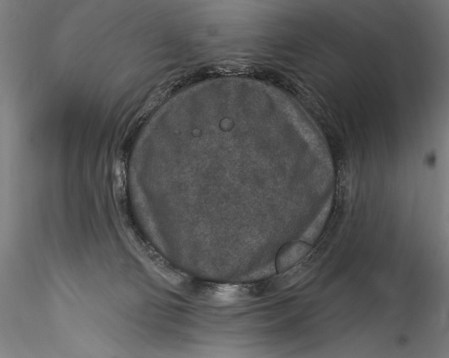 X0000115530130200911271355