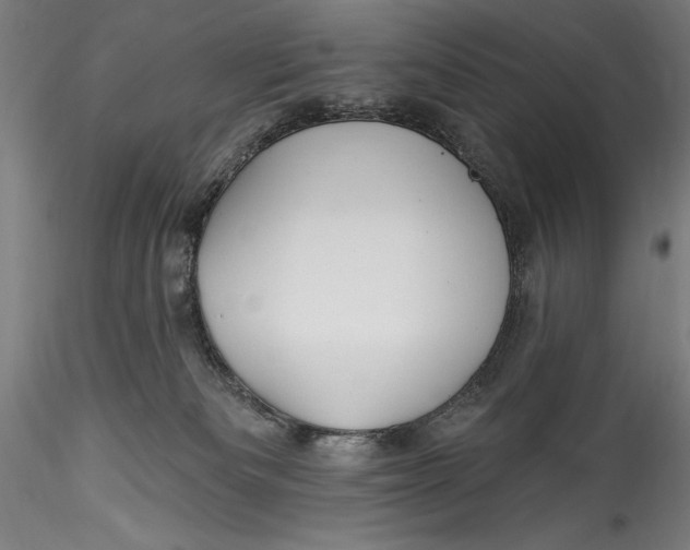 X0000115530133200911271355