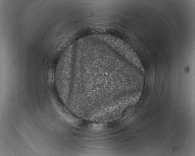 X0000115530134200911271355