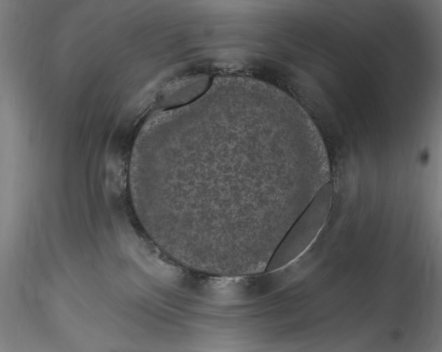 X0000115530136200911271355