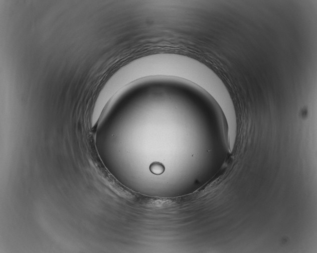 X0000115530137200911271355