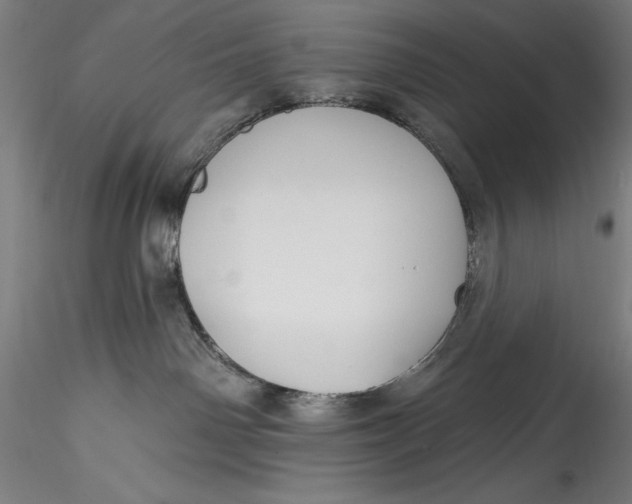 X0000115530142200911271355