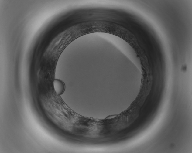 X0000115530143200911271355