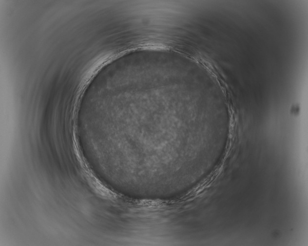 X0000115530145200911271354