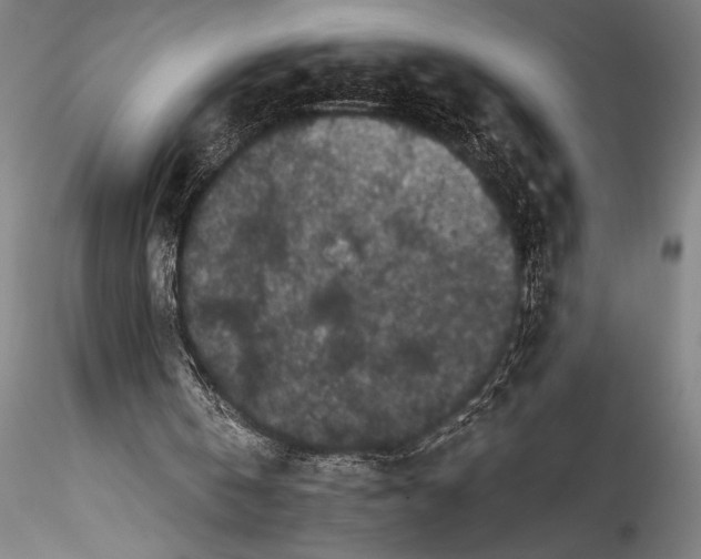 X0000115530146200911271354