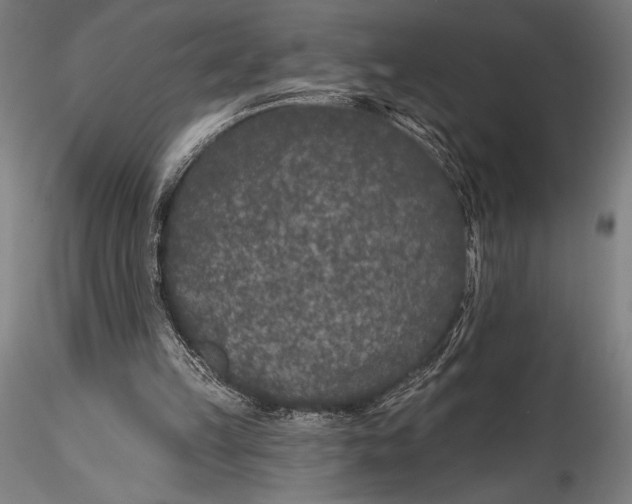 X0000115530149200911271354