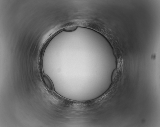 X0000115530150200911271354