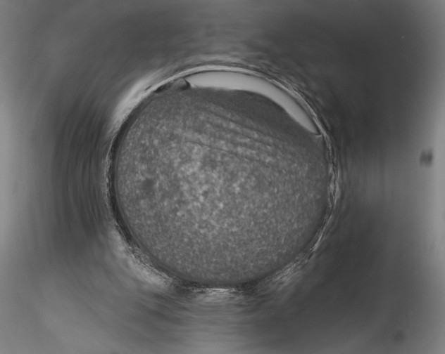 X0000115530151200911271354